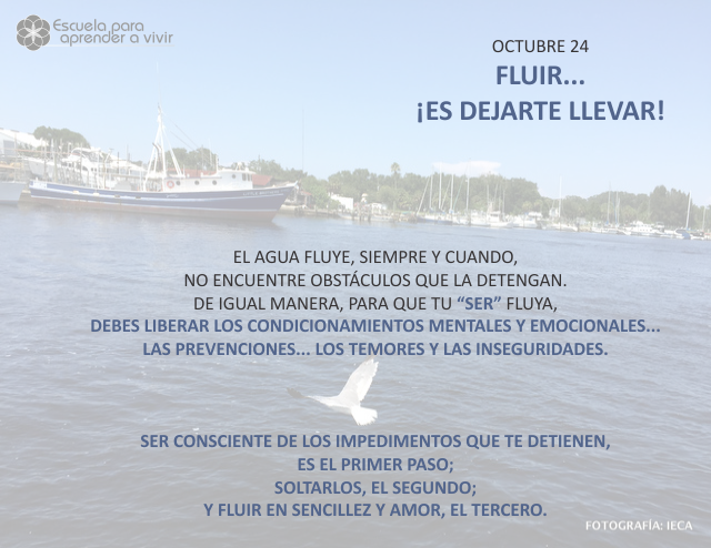 Fluir... ¡Es dejarte llevar!